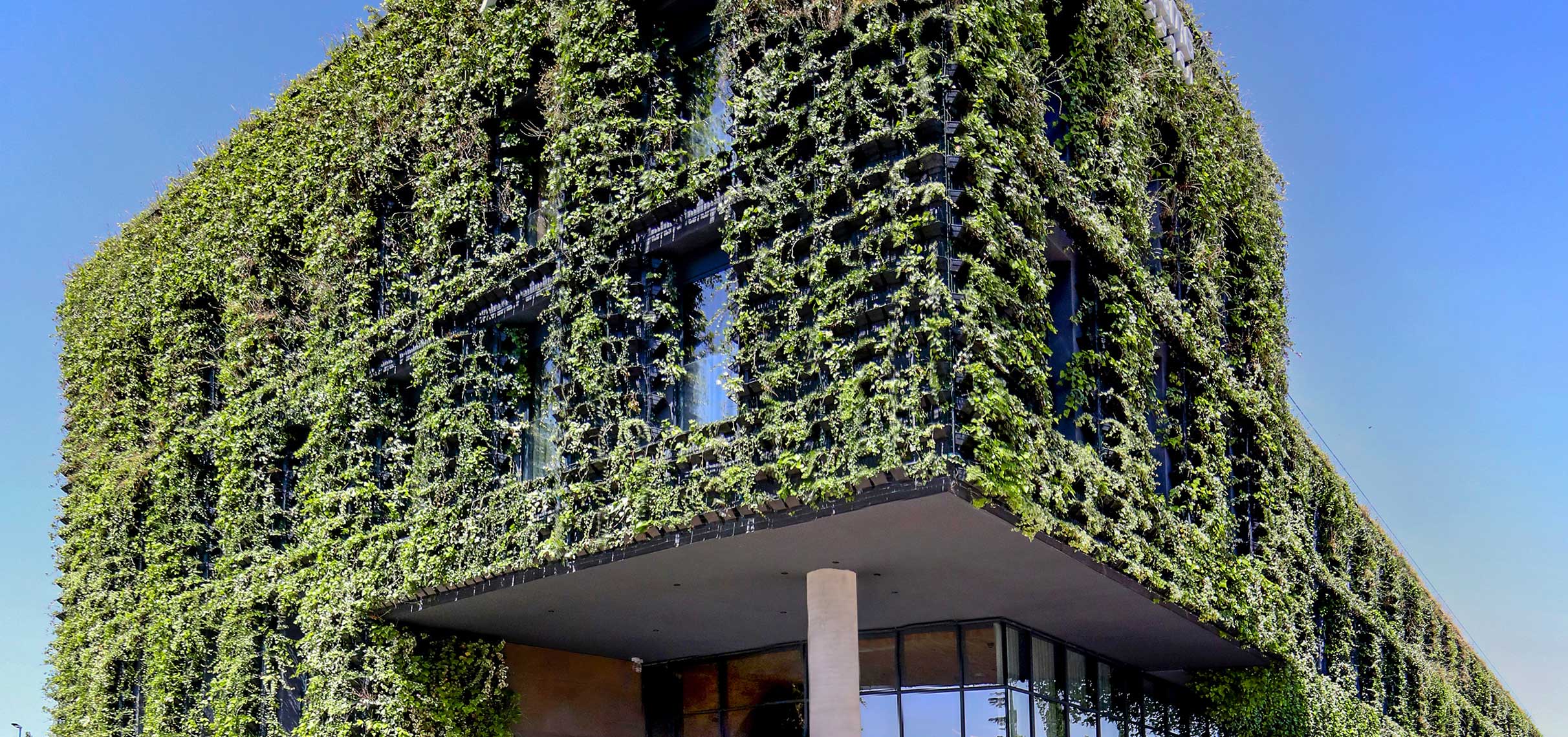 Green planted wall building